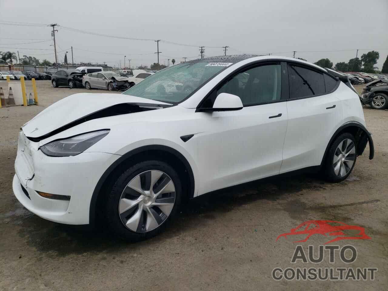 TESLA MODEL Y 2024 - 7SAYGDEE3RA223299