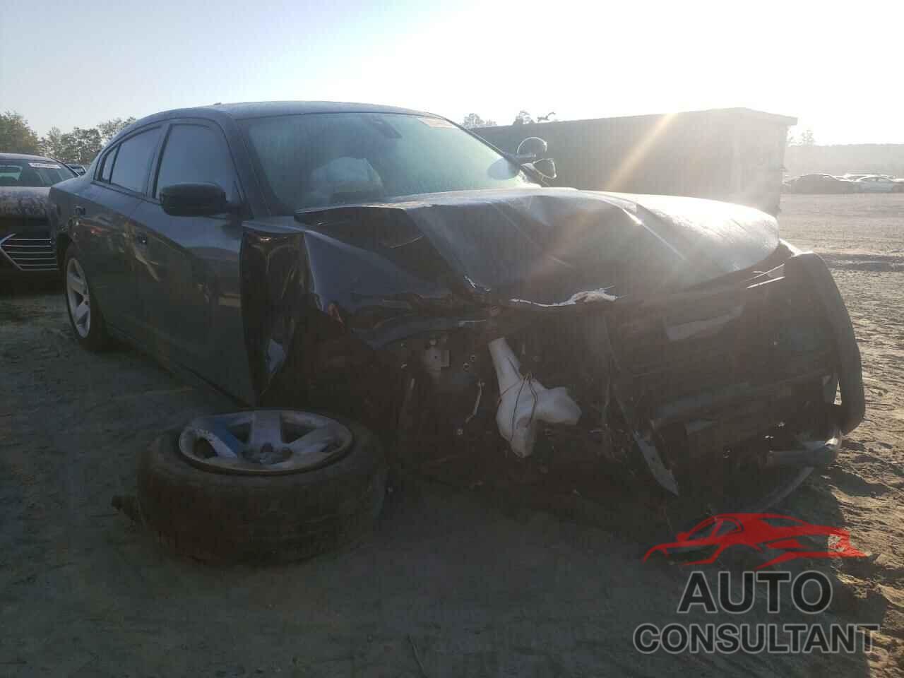 DODGE CHARGER 2019 - 2C3CDXAT7KH558370