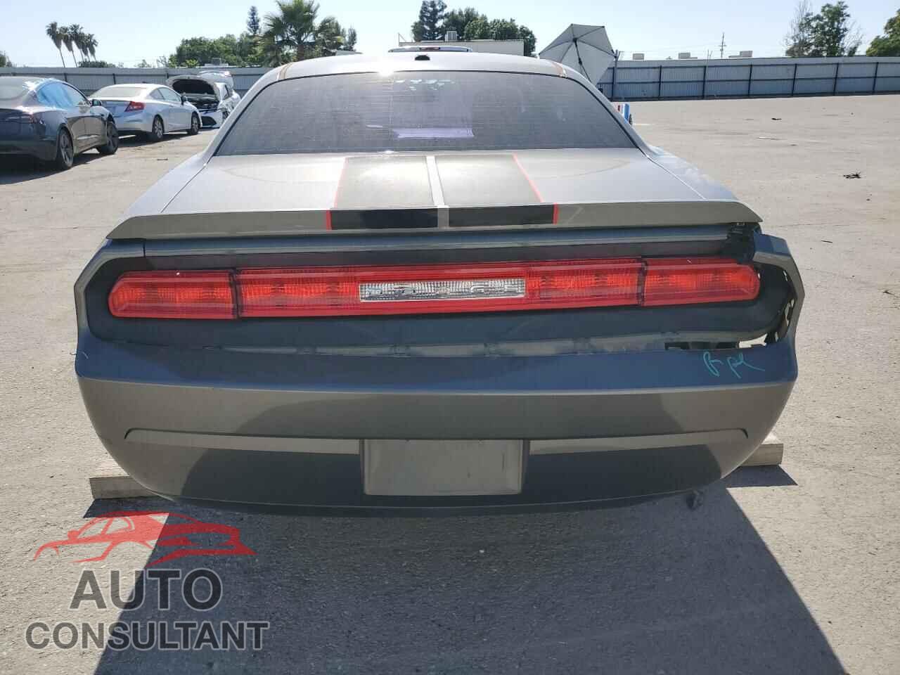 DODGE CHALLENGER 2010 - 2B3CJ4DV6AH234858