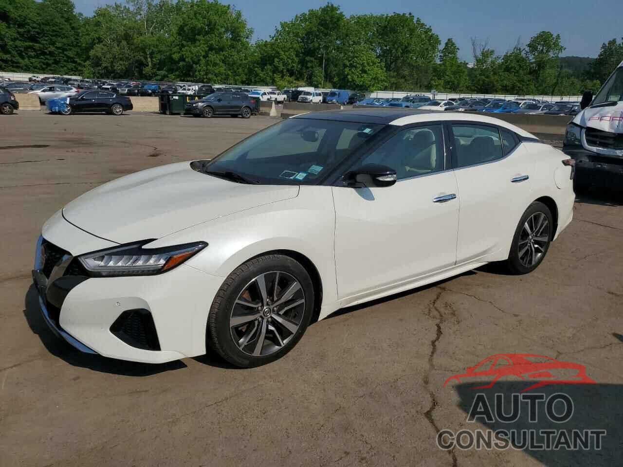 NISSAN MAXIMA 2019 - 1N4AA6AV5KC370446
