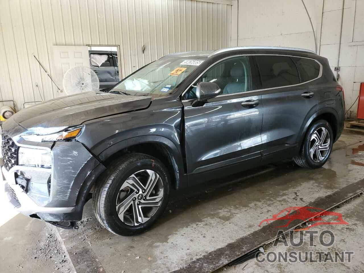 HYUNDAI SANTA FE 2023 - 5NMS2DAJ2PH544124
