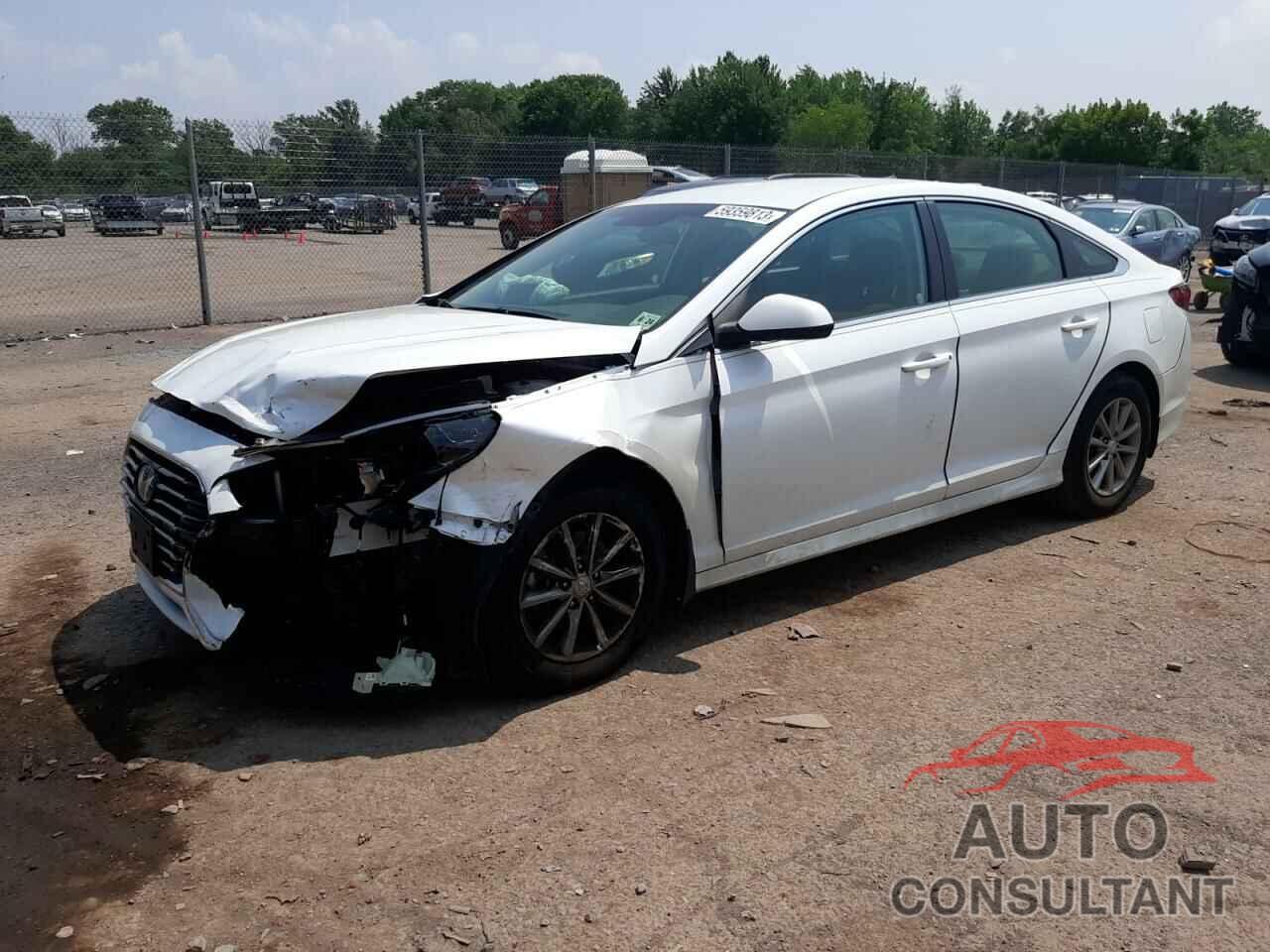 HYUNDAI SONATA 2019 - 5NPE24AF3KH805829