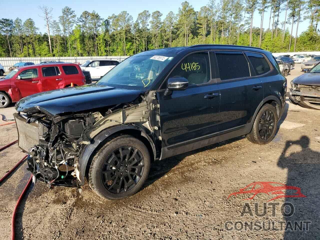 KIA TELLURIDE 2021 - 5XYP5DHC5MG103713