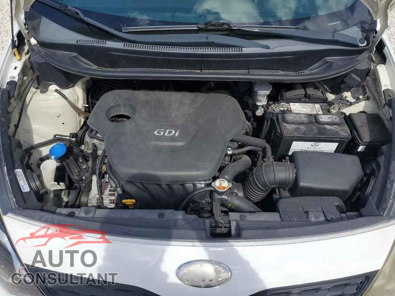 KIA RIO 2013 - KNADM5A37D6246863