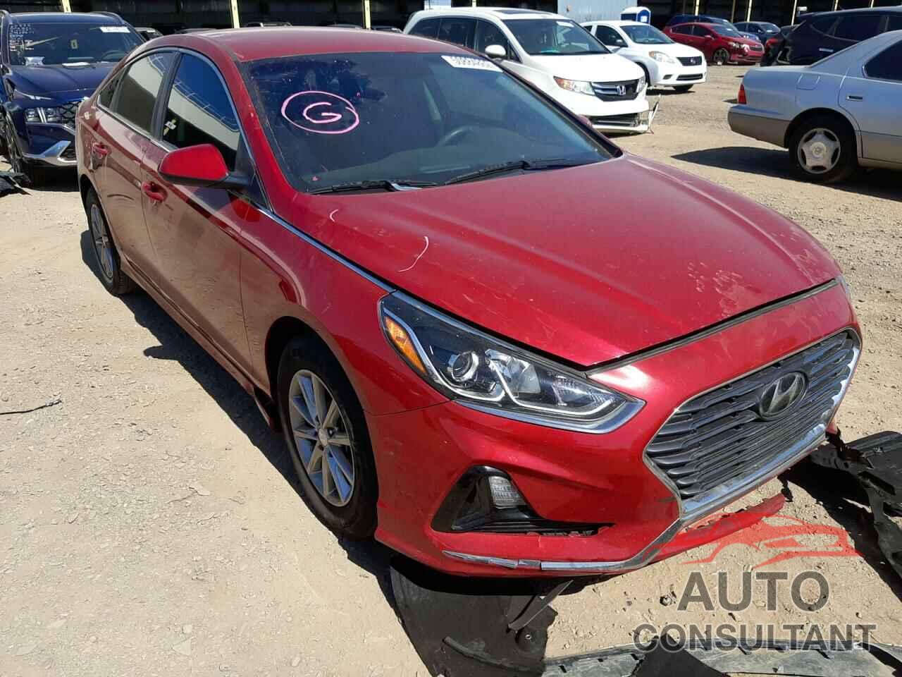 HYUNDAI SONATA 2018 - 5NPE24AF6JH606854