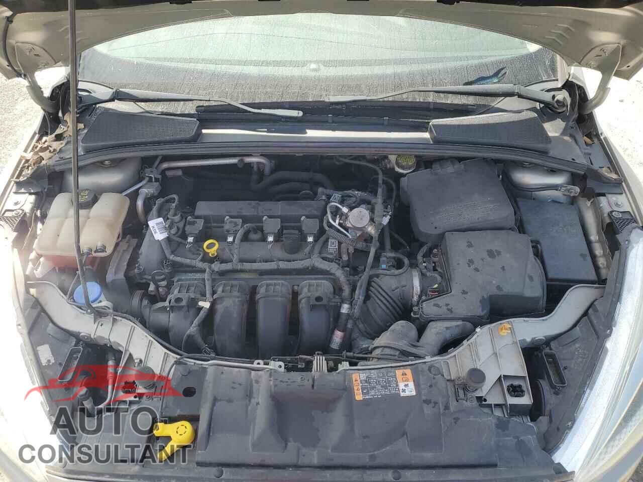 FORD FOCUS 2016 - 1FADP3F28GL318843