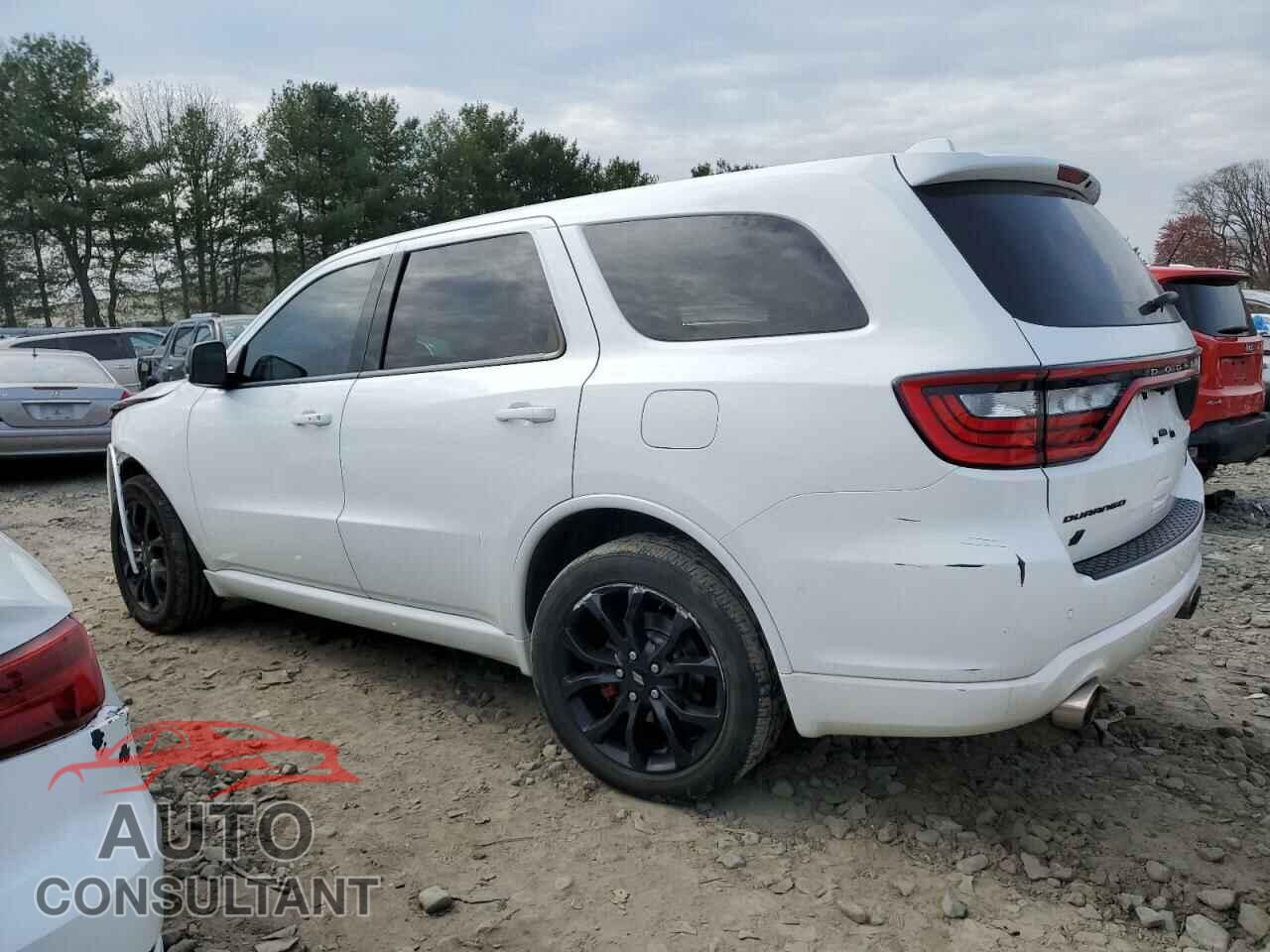 DODGE DURANGO 2019 - 1C4SDJCT8KC734489