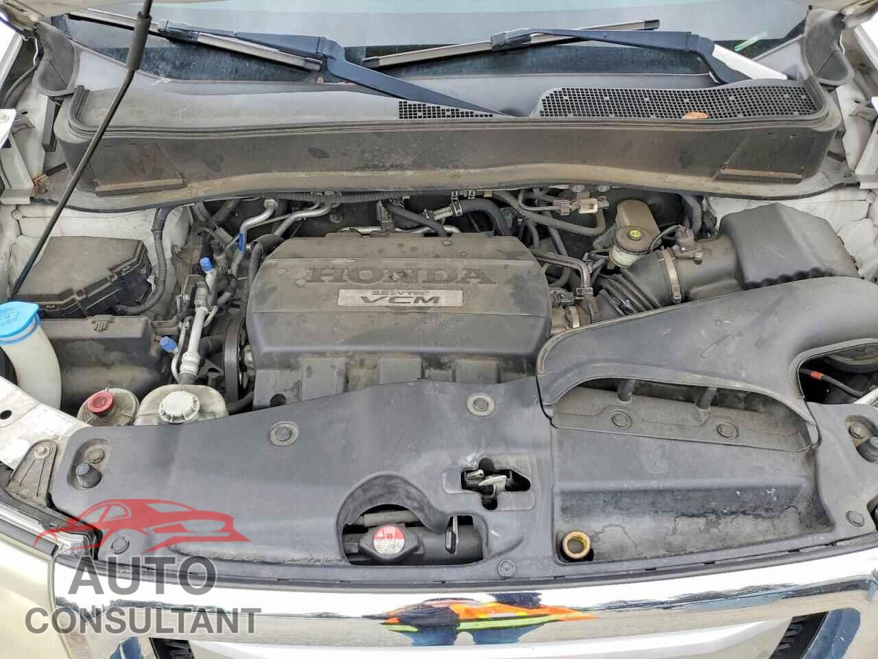 HONDA PILOT 2009 - 5FNYF38989B009615