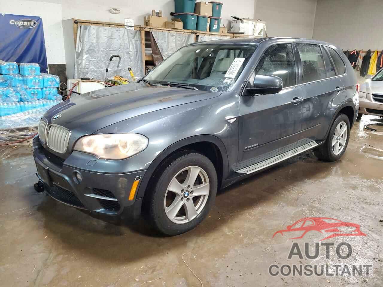 BMW X5 2011 - 5UXZW0C51BL656768