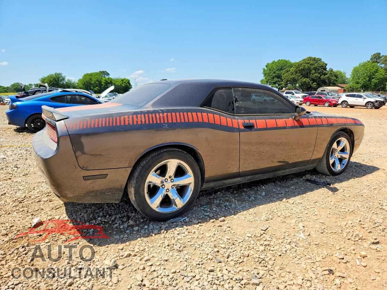 DODGE CHLGR 2D 2013 - 2C3CDYAG8DH613405
