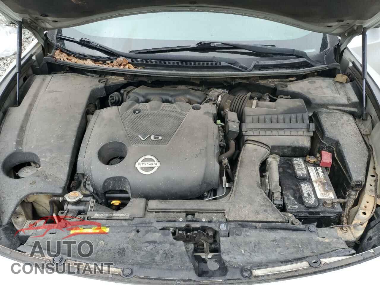 NISSAN MAXIMA 2009 - 1N4AA51E19C820663