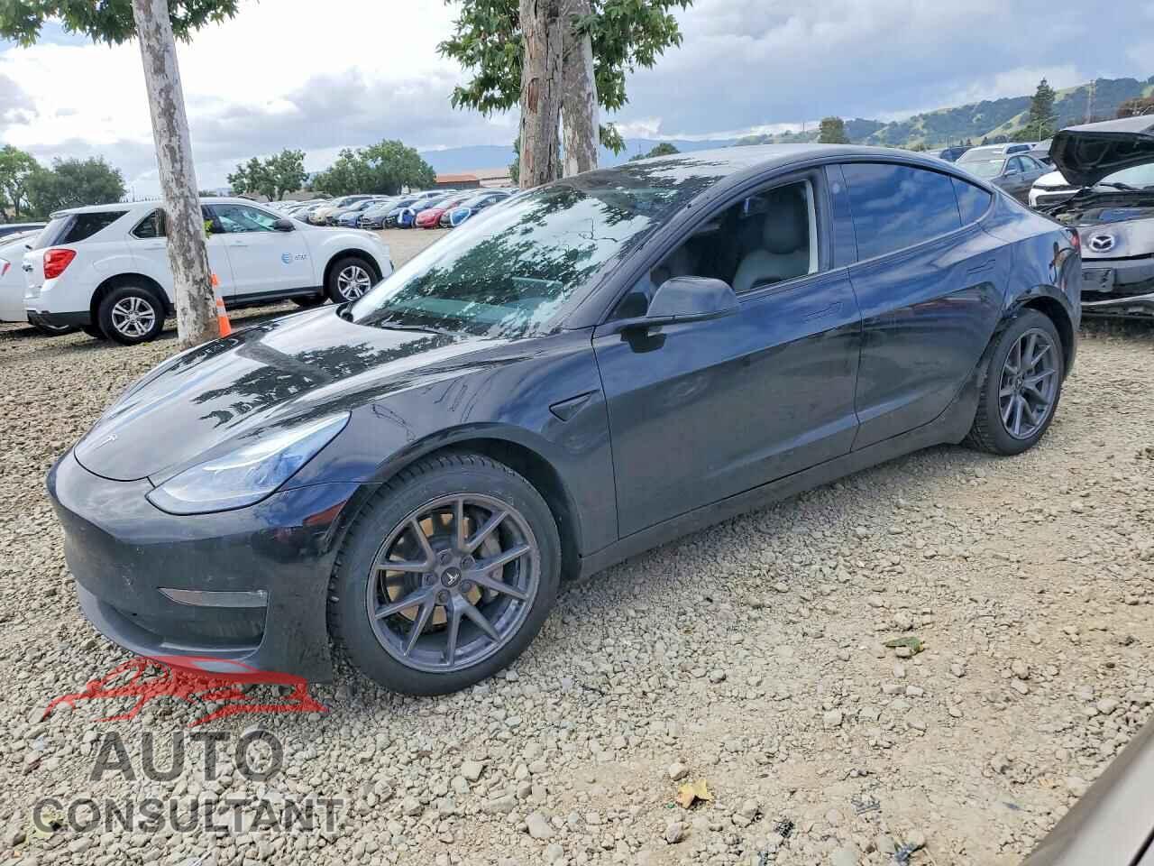 TESLA MODEL 3 2022 - 5YJ3E1EB2NF123645