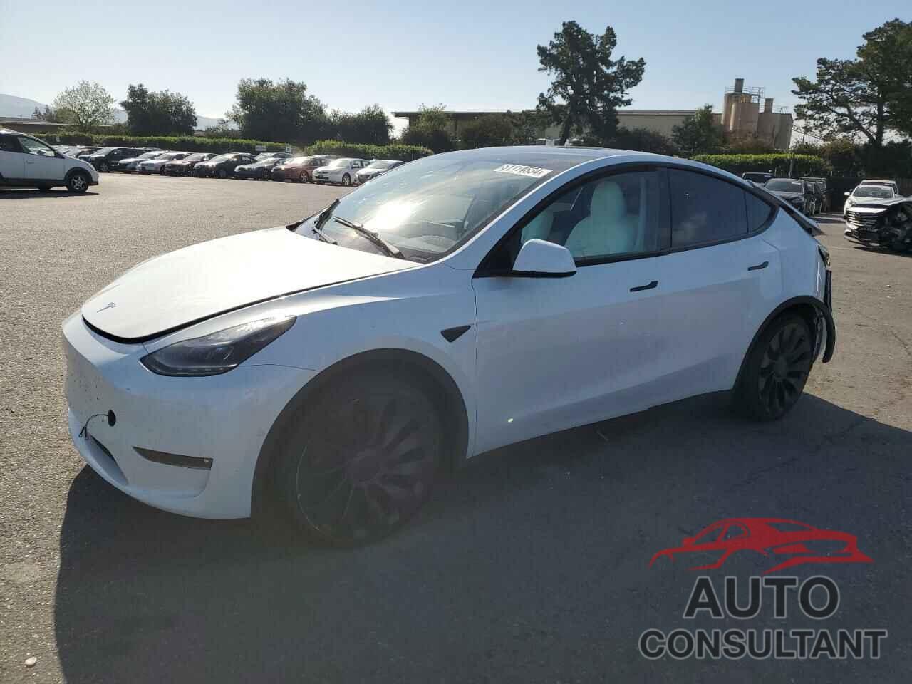 TESLA MODEL Y 2022 - 7SAYGDEF4NF407351
