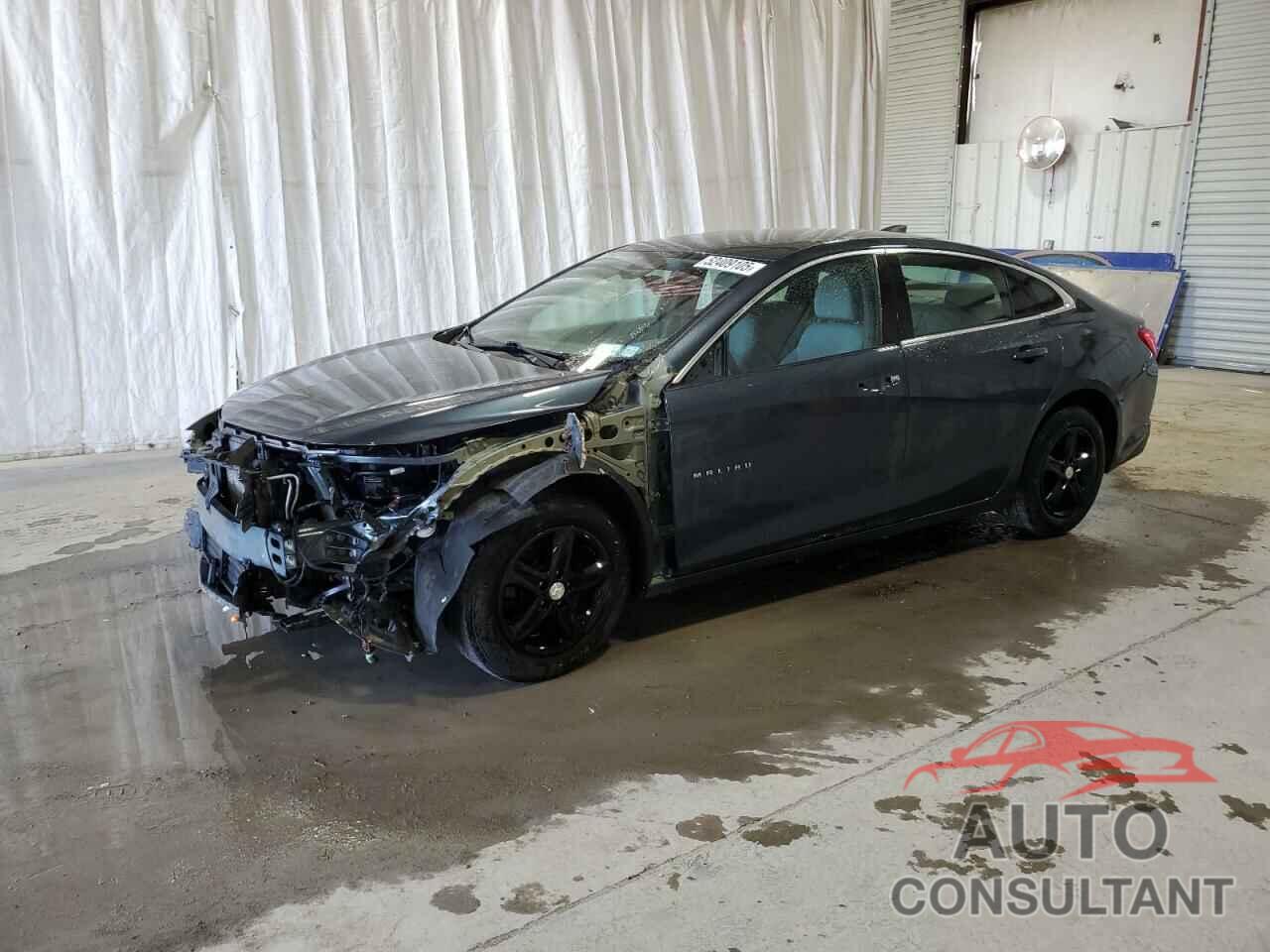 CHEVROLET MALIBU 2019 - 1G1ZB5STXKF217909