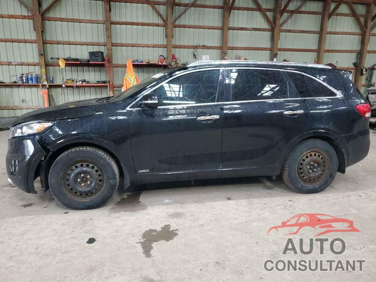 KIA SORENTO 2017 - 5XYPKDA50HG305711
