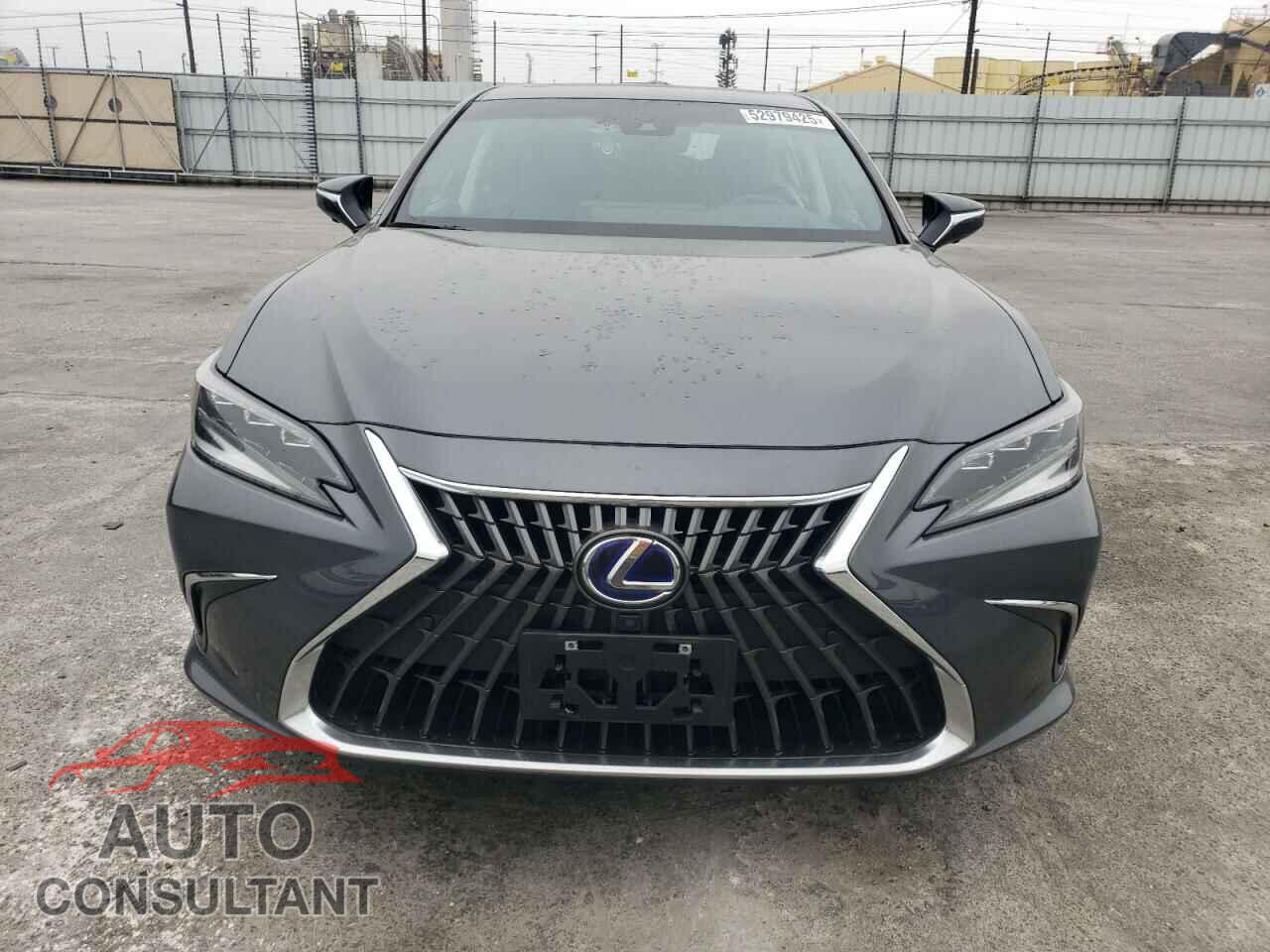 LEXUS ES300 2022 - 58AEA1C15NU018933