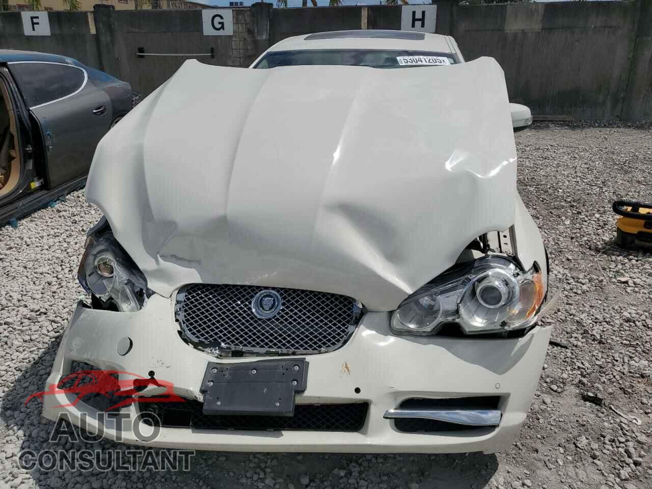 JAGUAR XF 2009 - SAJXA06B79HR44382