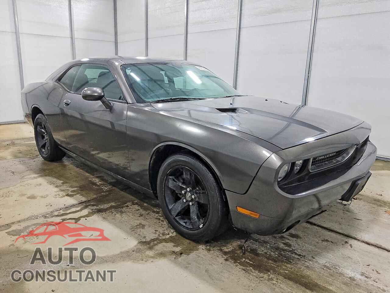 DODGE CHALLENGER 2013 - 2C3CDYAG3DH554201
