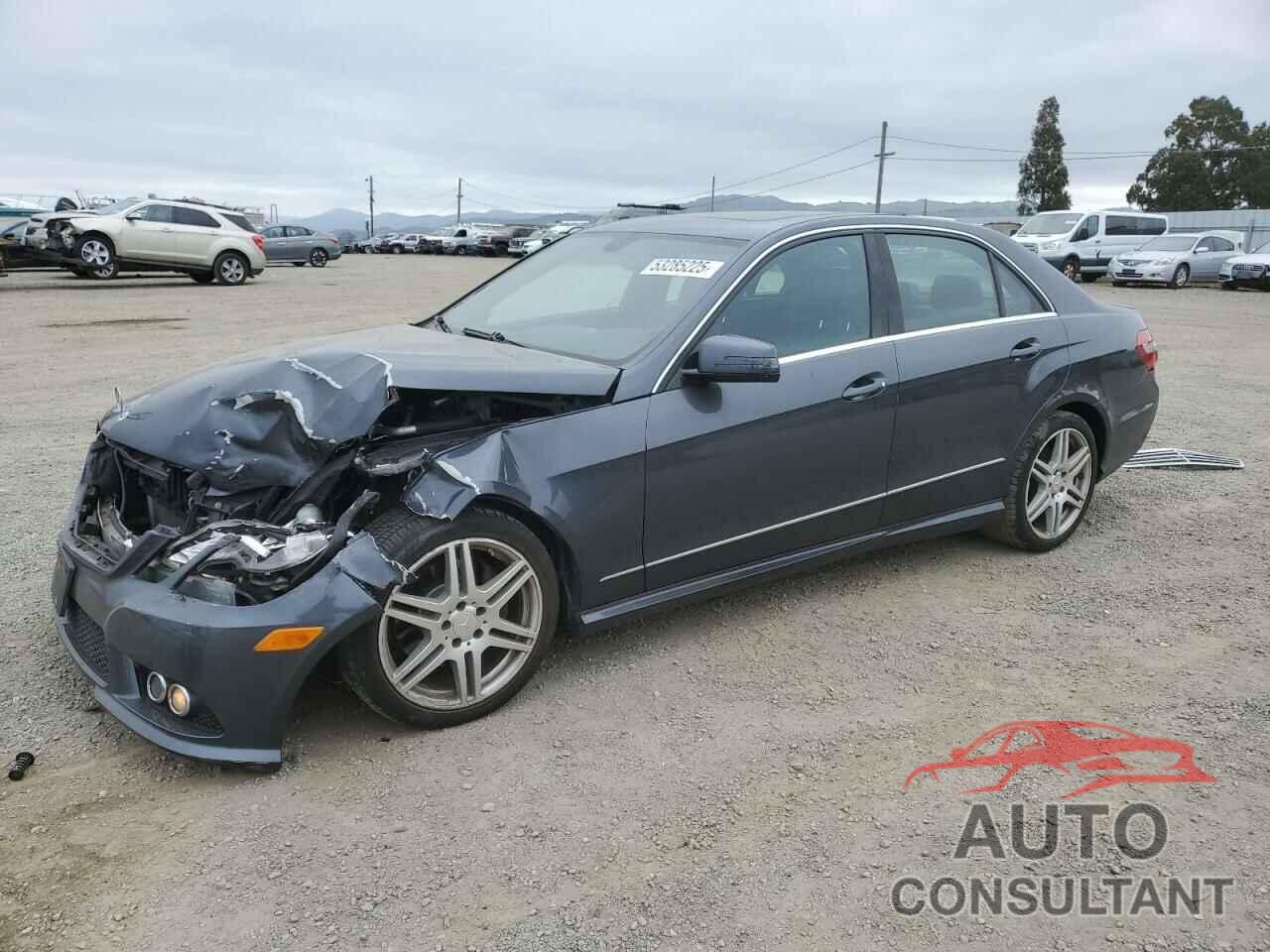 MERCEDES-BENZ E-CLASS 2010 - WDDHF5GB0AA199784