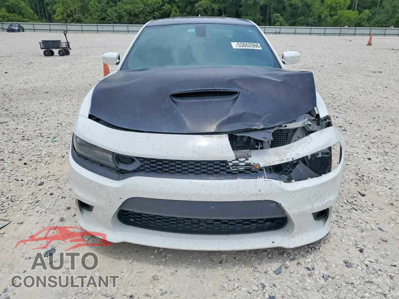 DODGE CHARGER 2019 - 2C3CDXGJ6KH742575