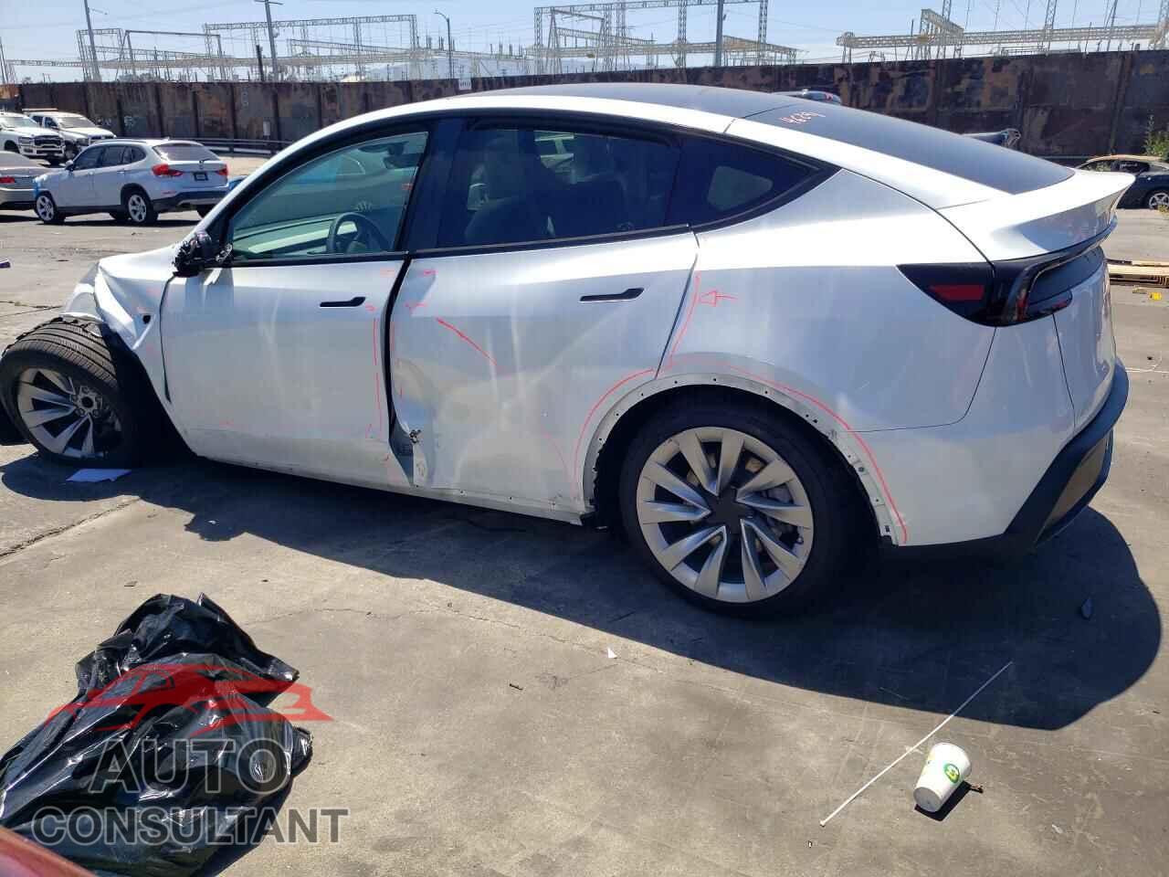 TESLA MODEL Y 2026 - 7SAYGDED0TF565732
