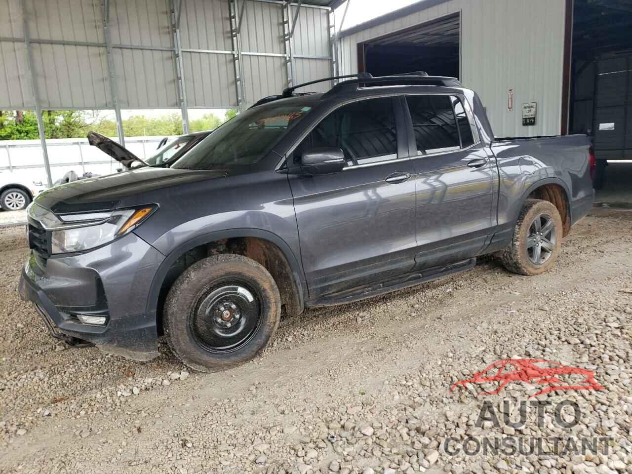 HONDA RIDGELINE 2022 - 5FPYK3F57NB026256
