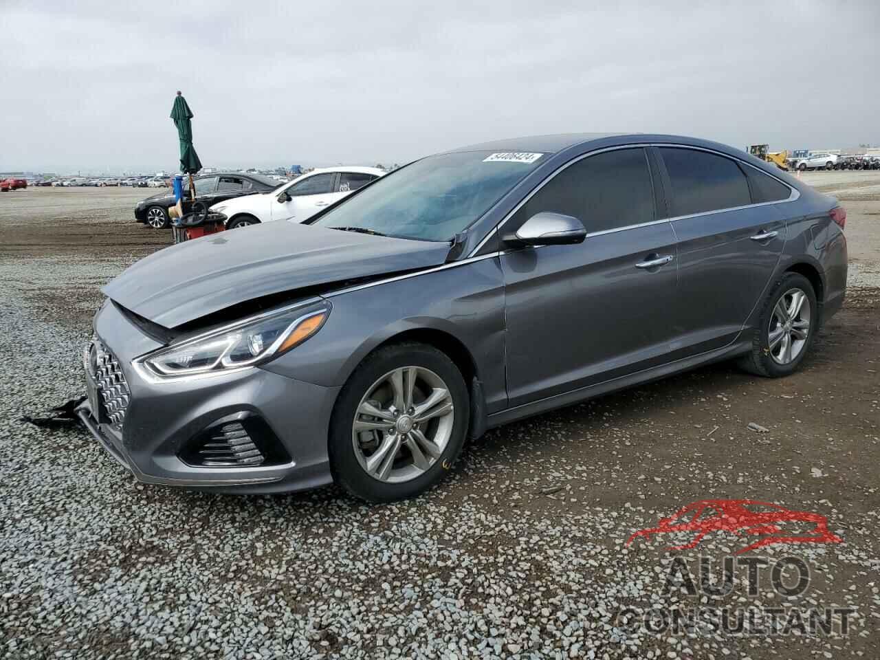 HYUNDAI SONATA 2019 - 5NPE34AF9KH803838