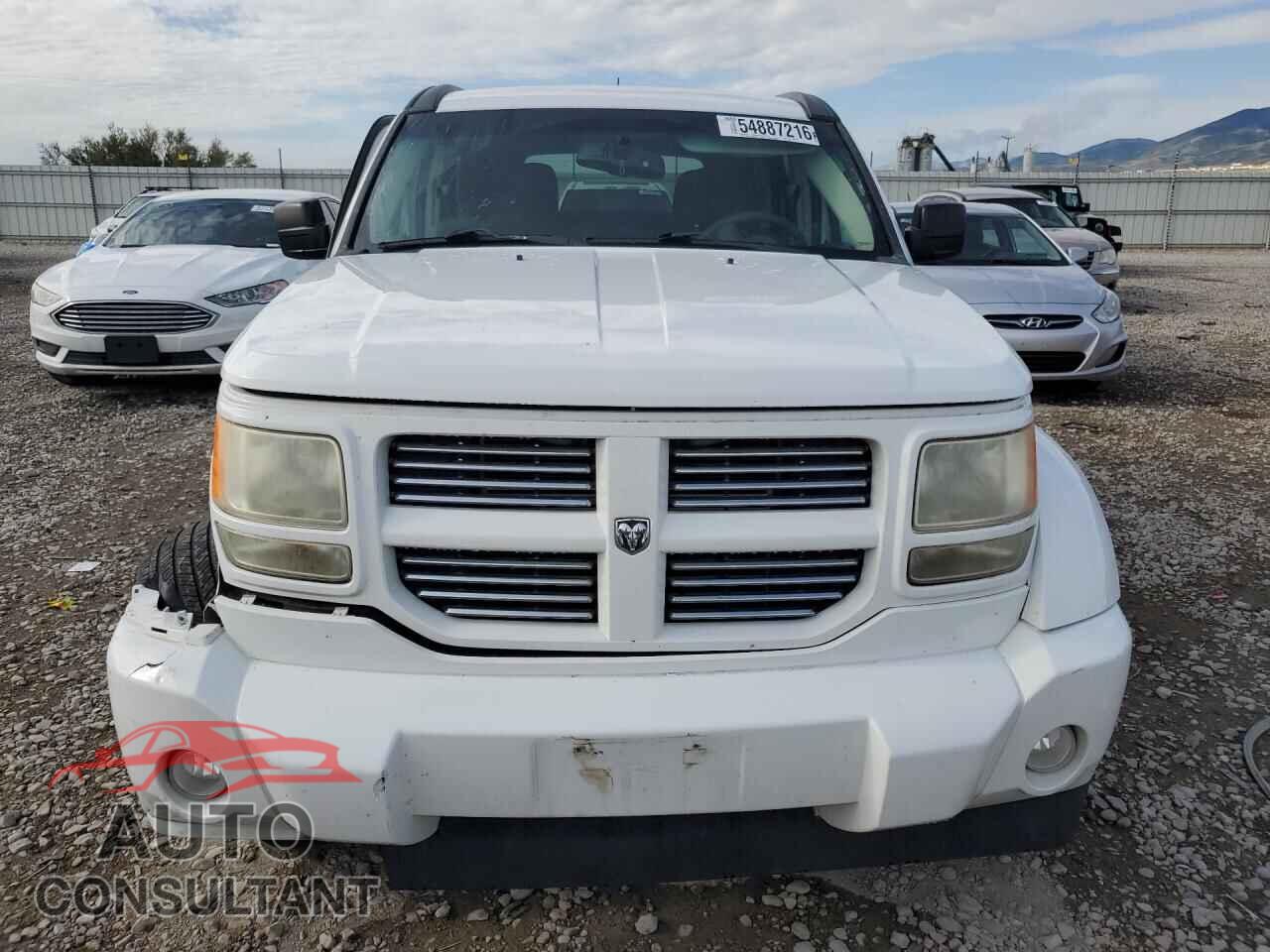 DODGE NITRO 2011 - 1D4PU4GX7BW587457