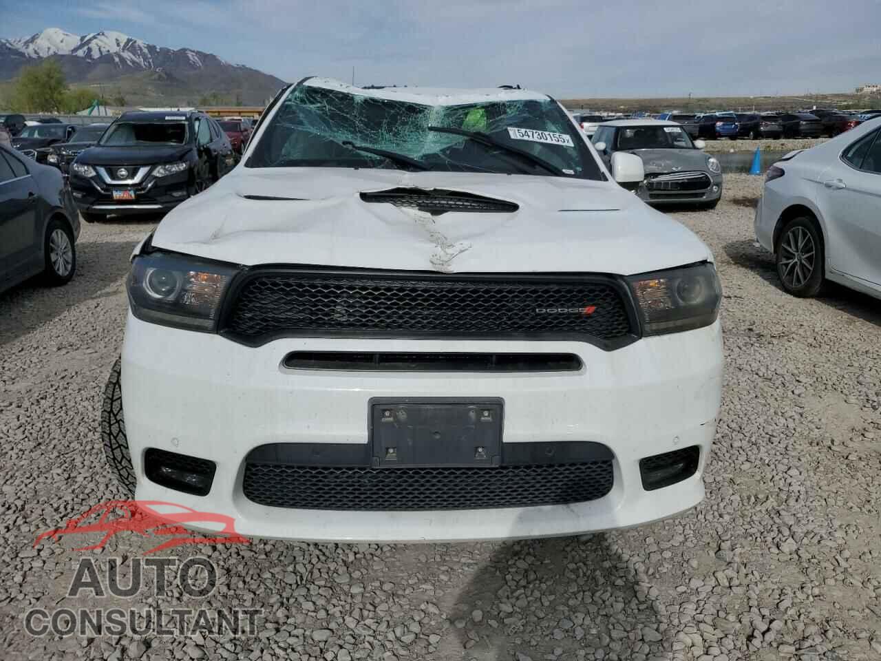 DODGE DURANGO 2019 - 1C4SDJCT6KC599254