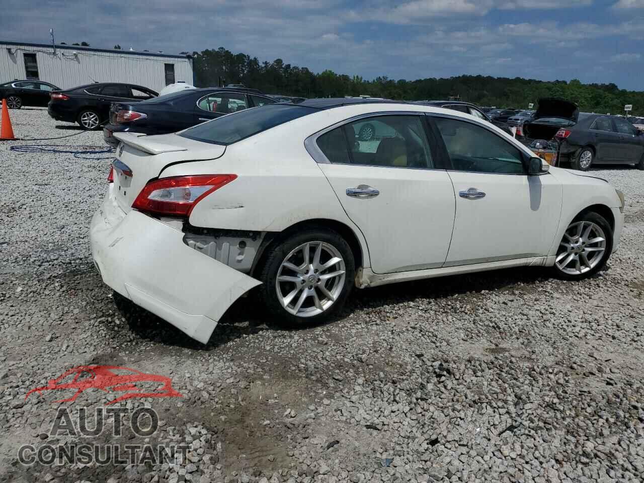 NISSAN MAXIMA 2011 - 1N4AA5AP8BC859743