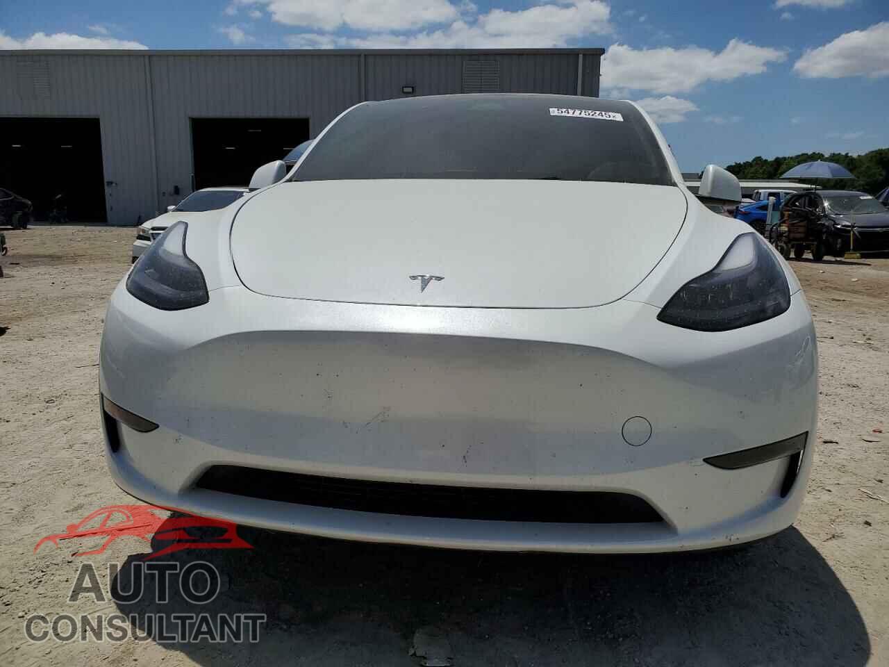 TESLA MODEL Y 2024 - 7SAYGDED2RF164790