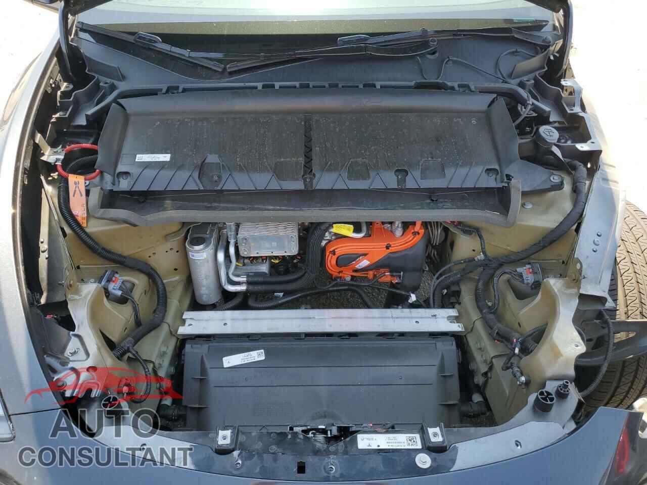 TESLA MODEL Y 2024 - 7SAYGDED1RF046035