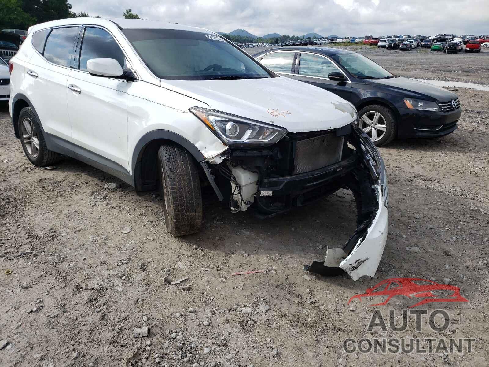 HYUNDAI SANTA FE 2017 - 5NMZT3LB6HH019807