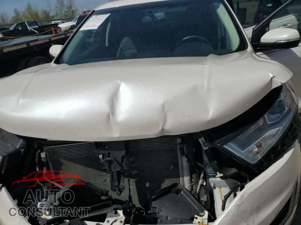 FORD EDGE 2017 - 2FMPK3J94HBC17502