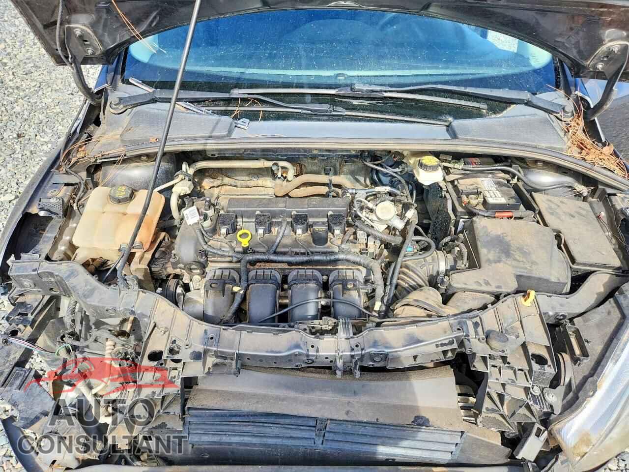 FORD FOCUS 2017 - 1FADP3E21HL322445
