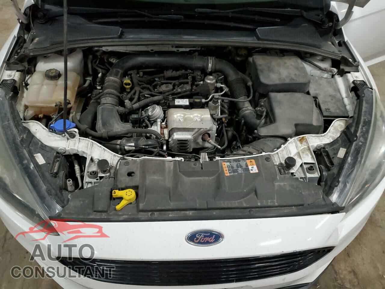 FORD FOCUS 2016 - 1FADP3FE8GL324863