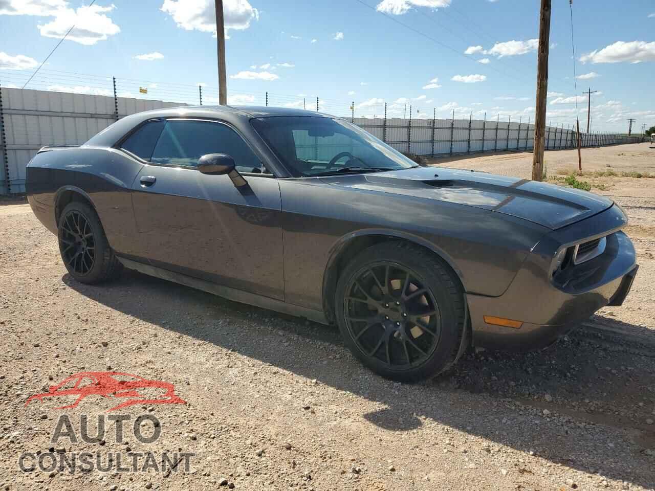 DODGE CHALLENGER 2013 - 2C3CDYAG4DH704252