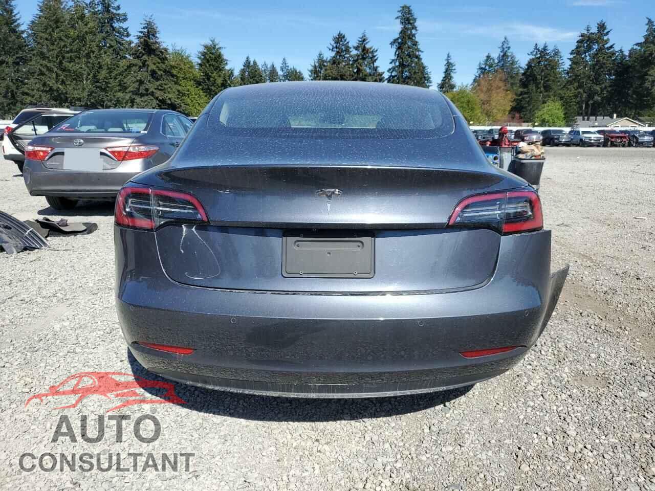 TESLA MODEL 3 2019 - 5YJ3E1EA5KF307447