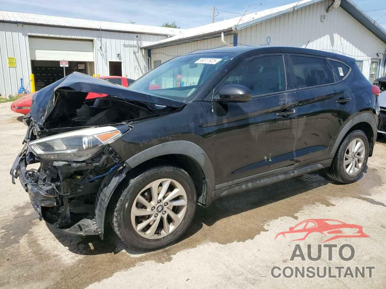 HYUNDAI TUCSON 2017 - KM8J23A45HU300523