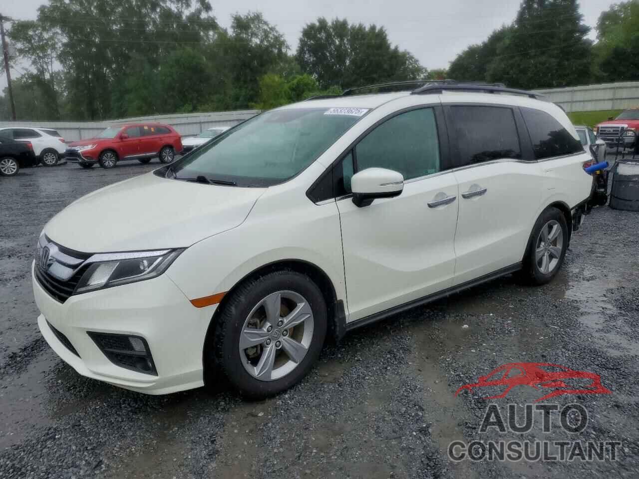 HONDA All Models 2019 - 5FNRL6H76KB081819