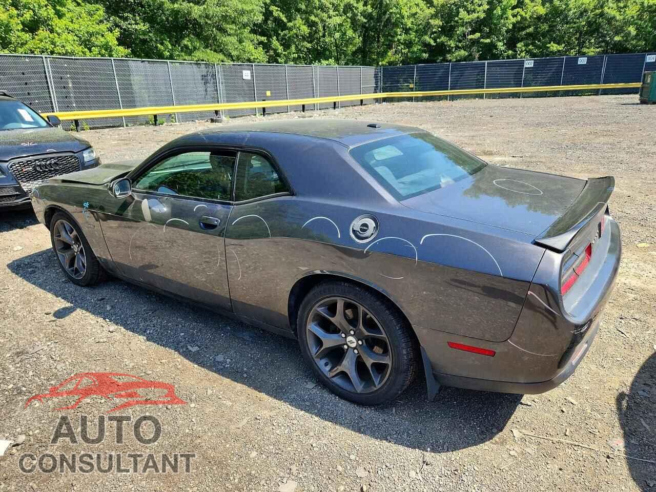 DODGE CHALLENGER 2019 - 2C3CDZBT4KH705206