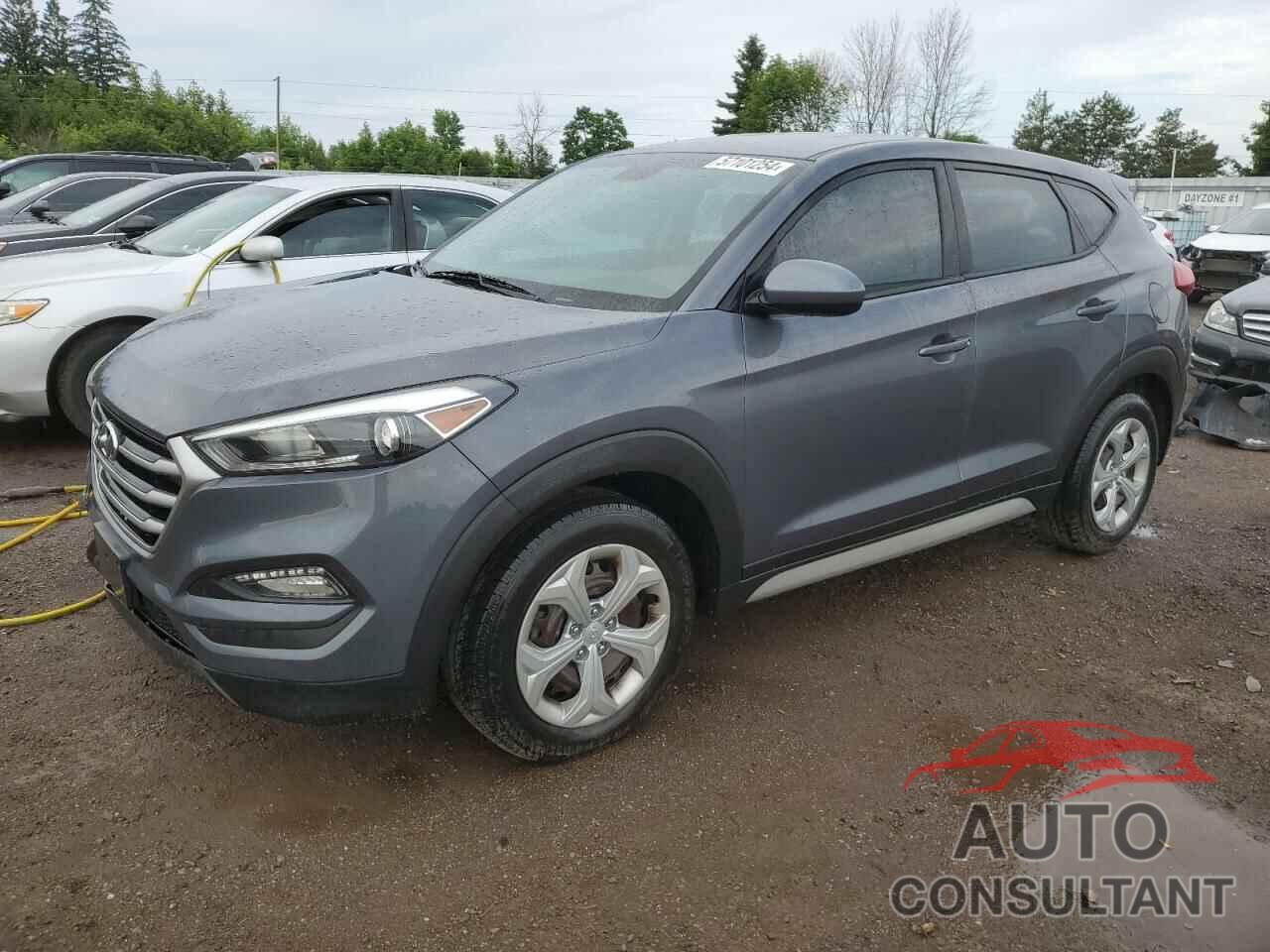 HYUNDAI TUCSON 2017 - KM8J2CA40HU540689