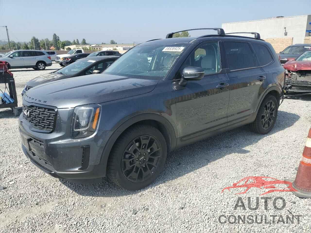 KIA TELLURIDE 2022 - 5XYP3DHC4NG286223