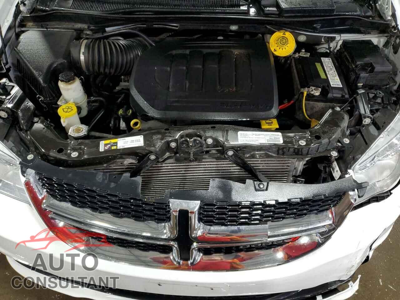 DODGE CARAVAN 2019 - 2C4RDGBG6KR792193