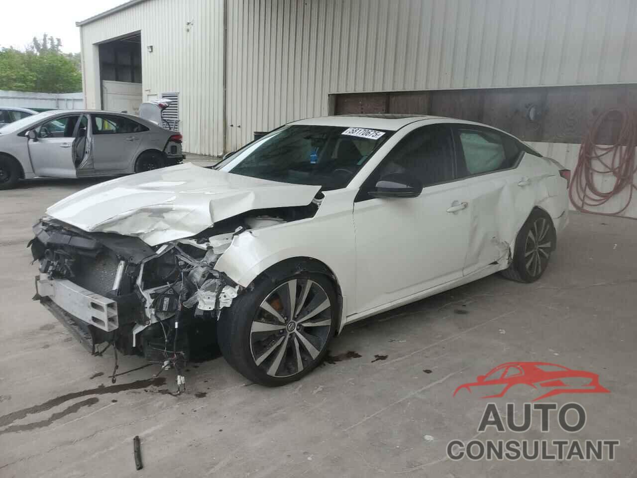 NISSAN ALTIMA 2019 - 1N4BL4CV7KC135501