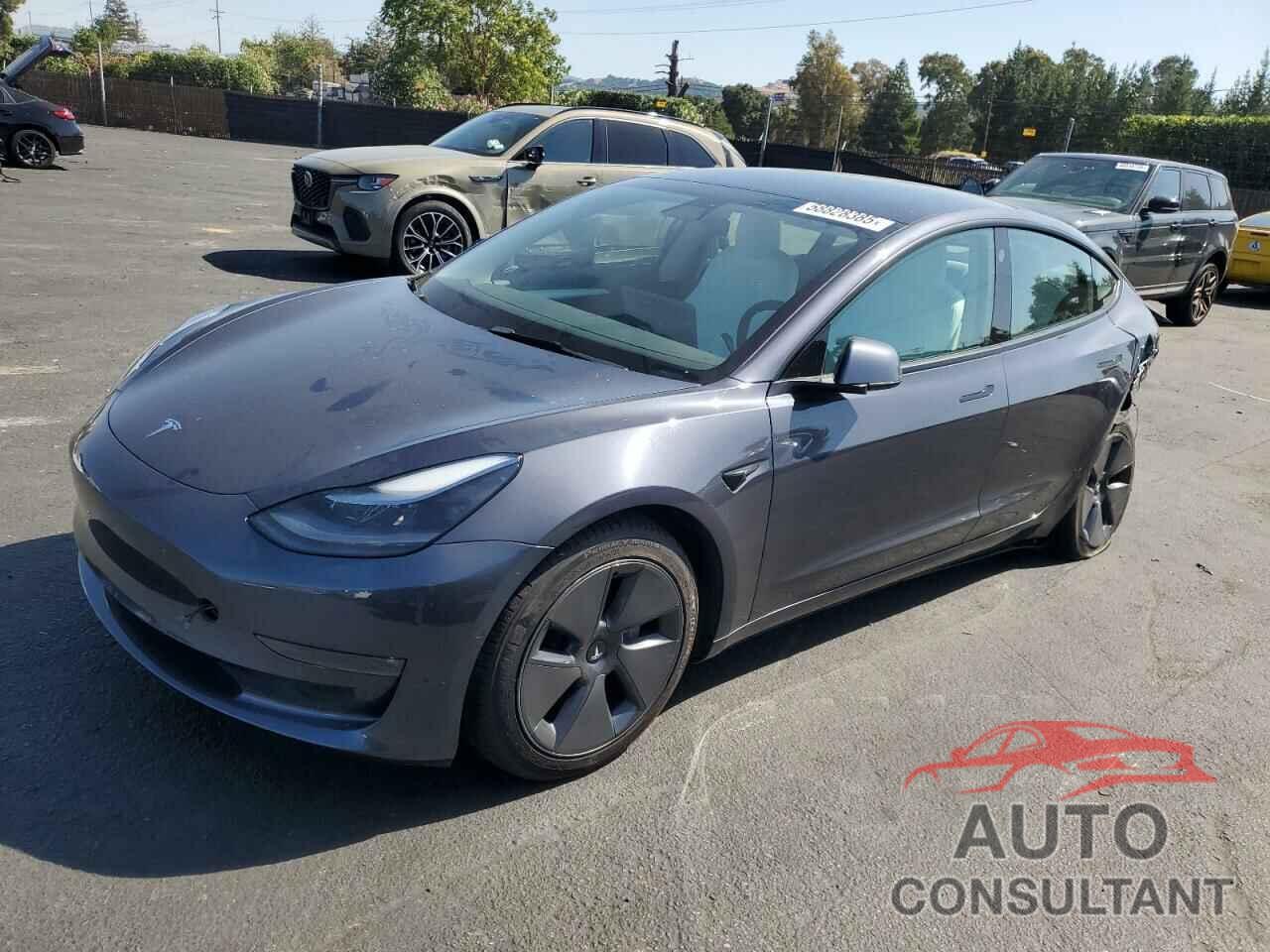 TESLA MODEL 3 2022 - 5YJ3E1EBXNF155050