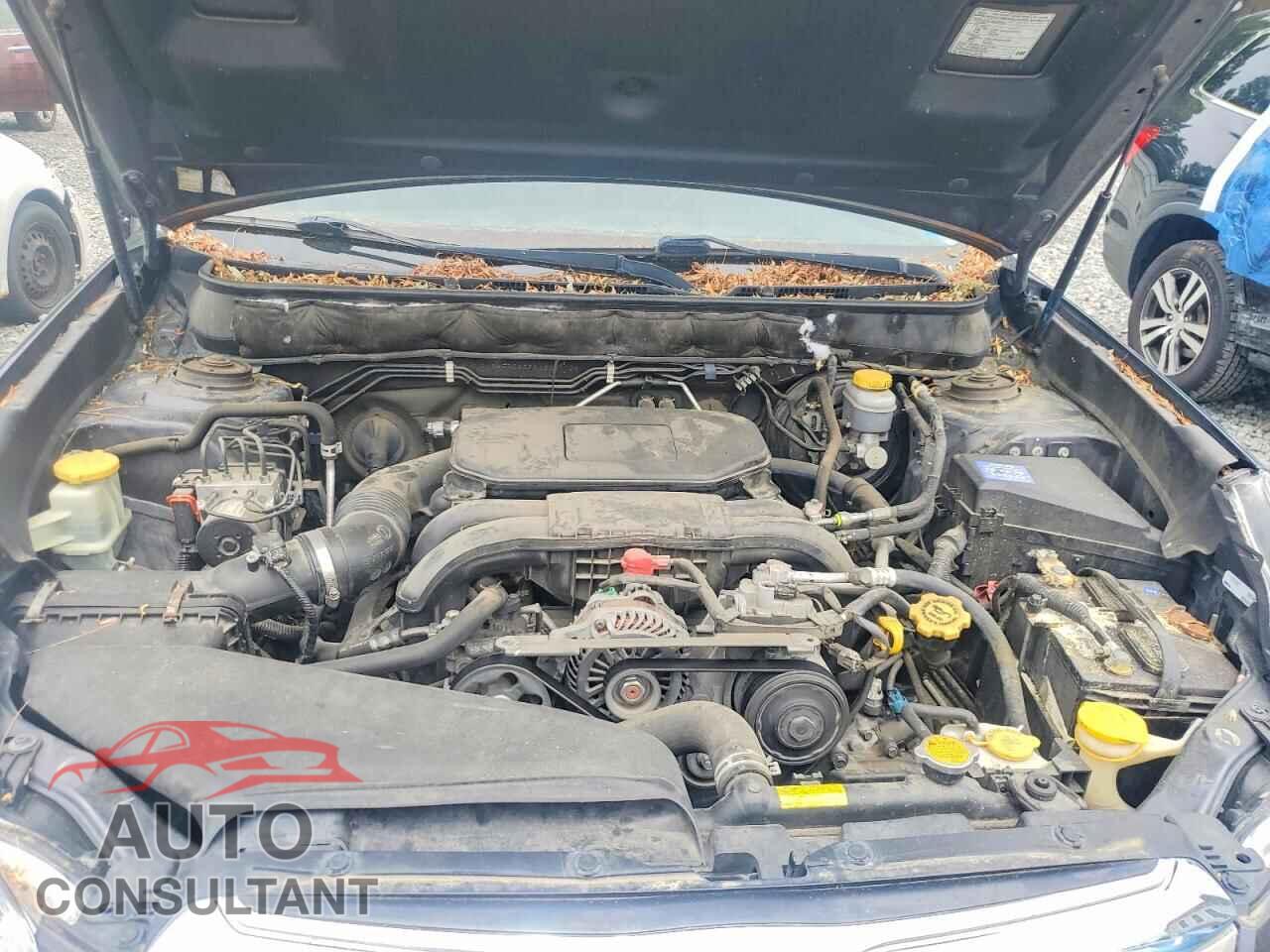 SUBARU OUTBACK 2010 - 4S4BRBGC2A3335170