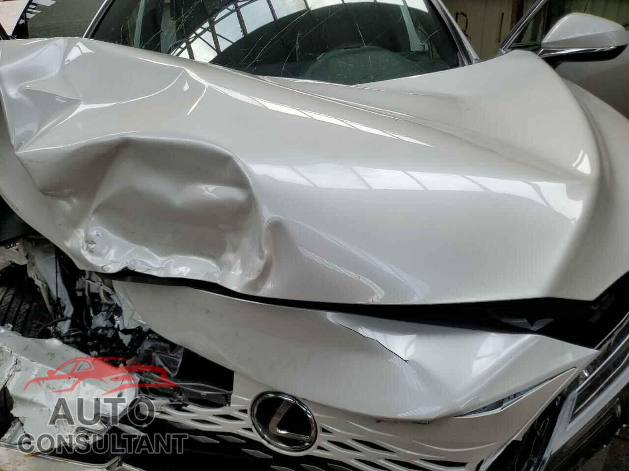 LEXUS RX 350H BA 2024 - 2T2BBMCA2RC038746