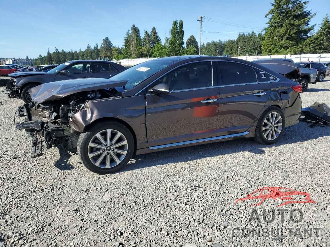 HYUNDAI SONATA 2016 - 5NPE34AF6GH432290