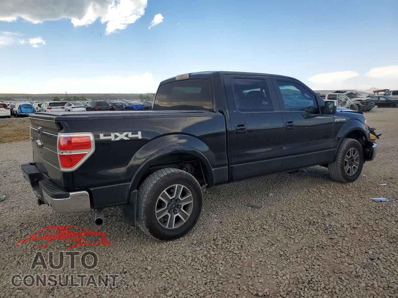 FORD F150 2009 - 1FTPW14V29FB44832